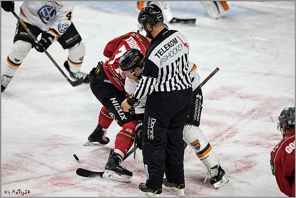 DEL, Koelner Haie - Grizzlys Wolfsburg, 17.03.2017